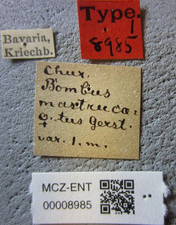 Media type: image;   Entomology 8985 Aspect: labels